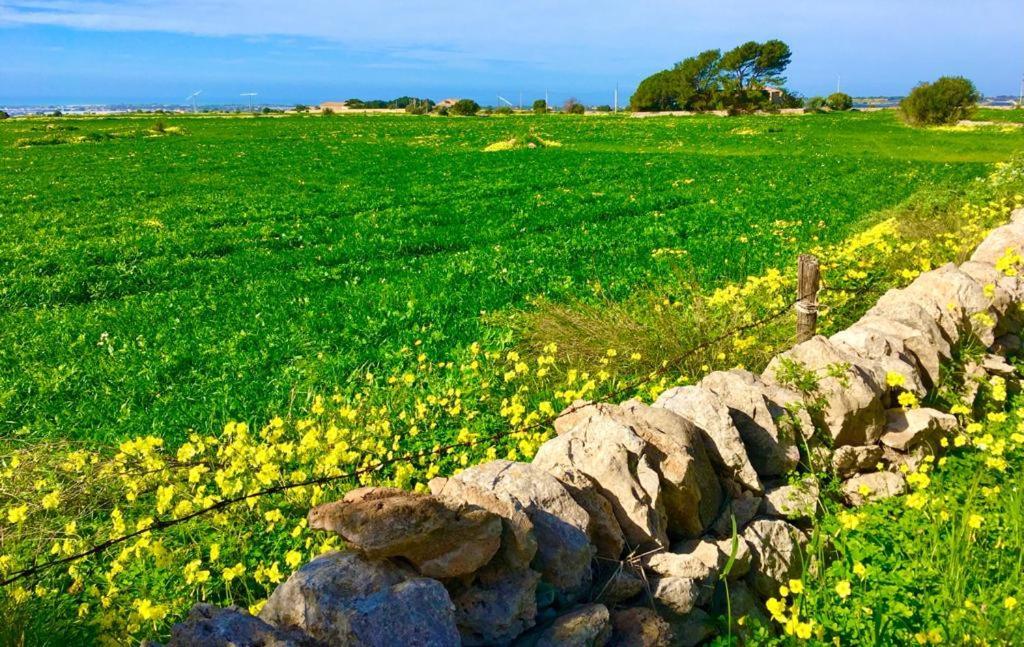 Casacautha Bed and Breakfast Marina di Ragusa Esterno foto